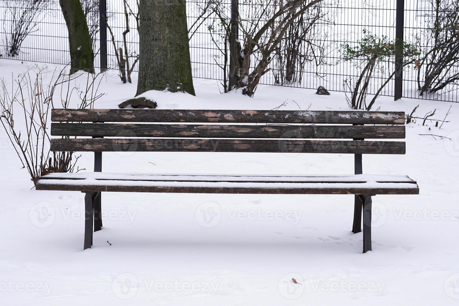 snow covered park bench photo
