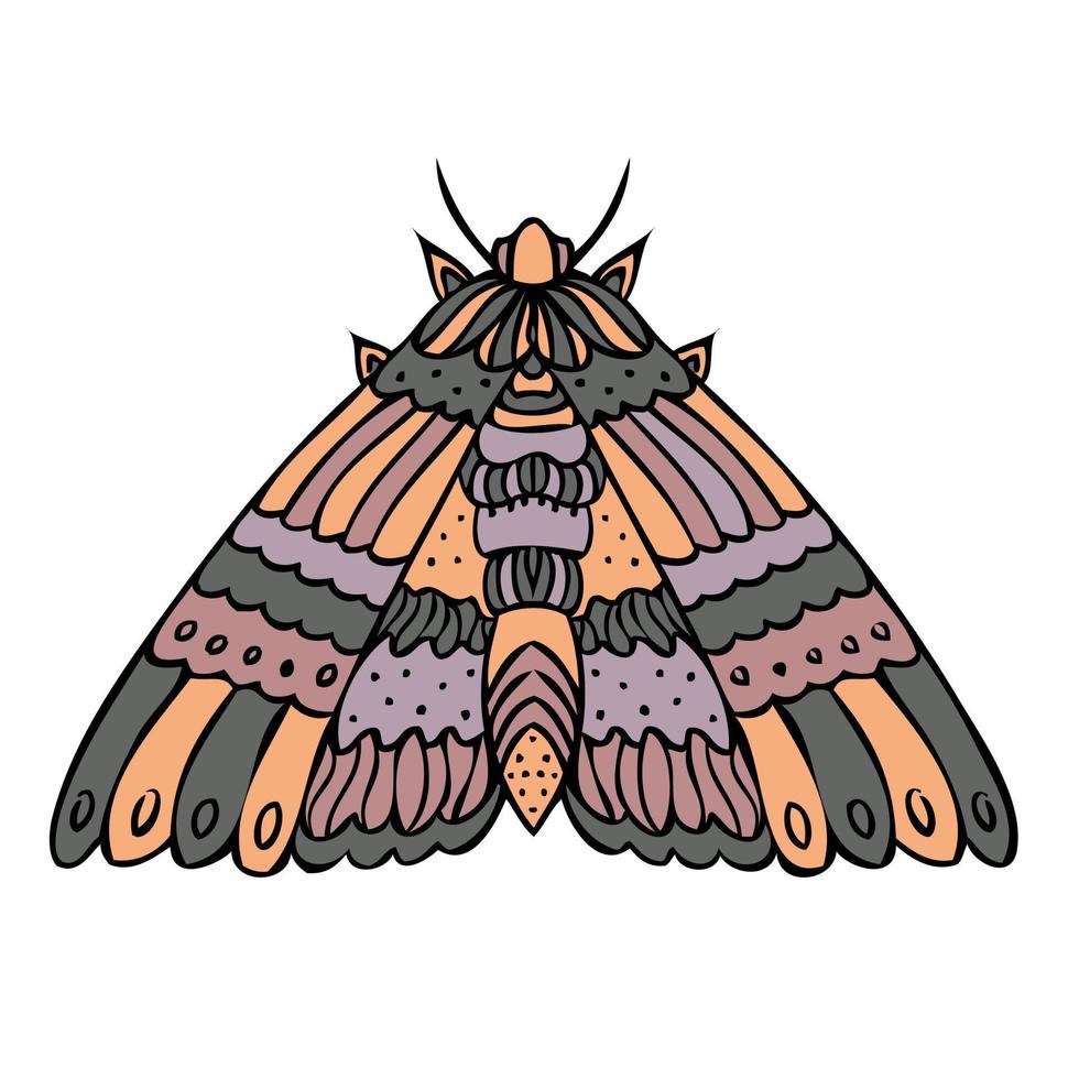 mariposa nocturna colorida, polilla. ilustración dibujada a mano. vector