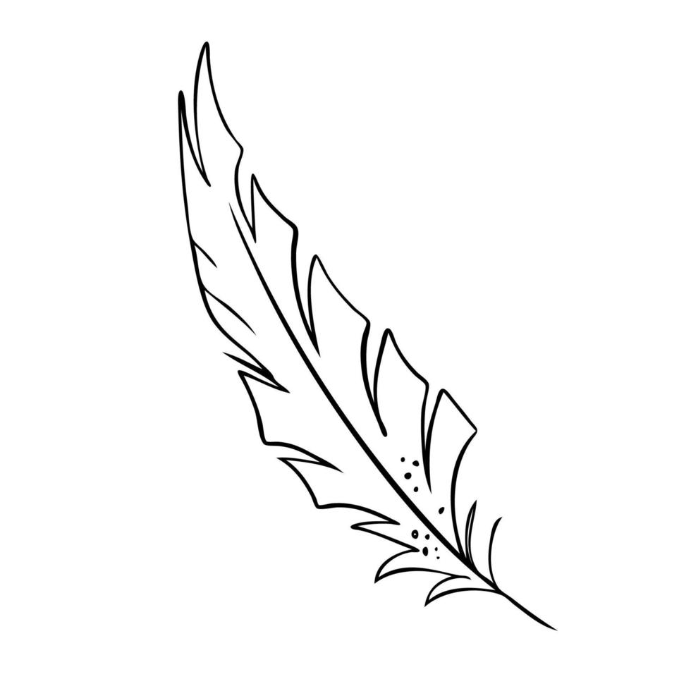 Feather of birds. Black and white feather silhouette for logo vector hand drawn set.