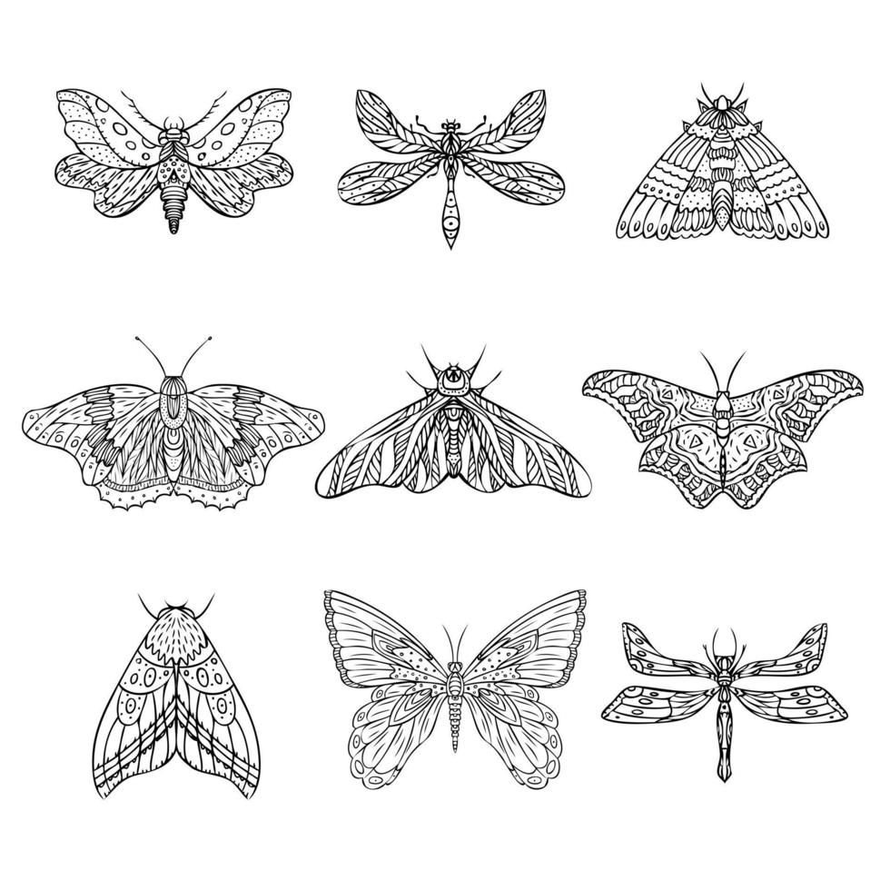 conjunto de mariposas nocturnas vectoriales, polillas. ilustración dibujada a mano. fondo blanco y negro. vector