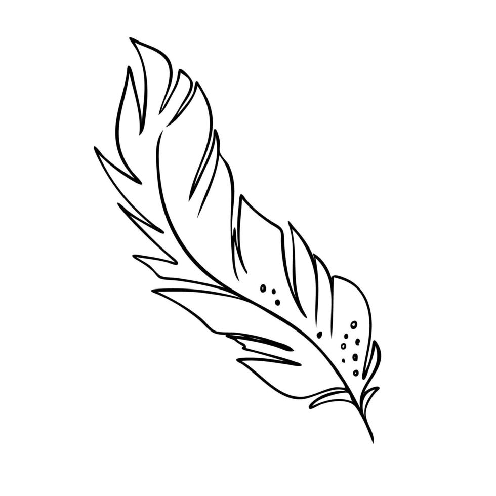 Feather of birds. Black and white feather silhouette for logo vector hand drawn set.