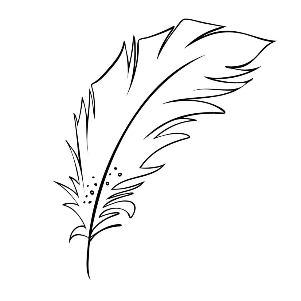 Feather of birds. Black and white feather silhouette for logo vector hand drawn set.