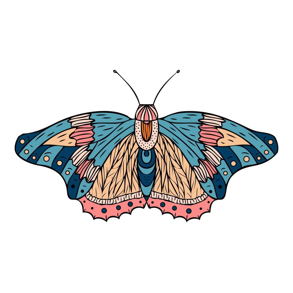 Colorful night butterfly, moth. Hand drawn illustration. vector
