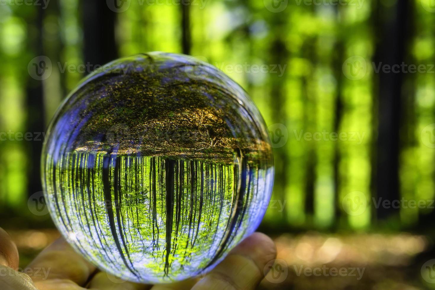 Glass ball in nature photo