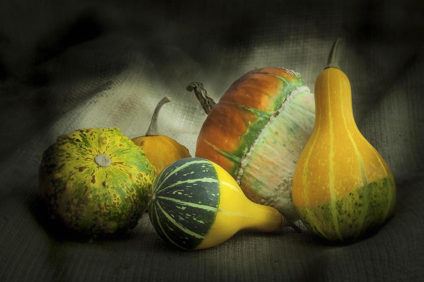 A group of different pumpkins photo