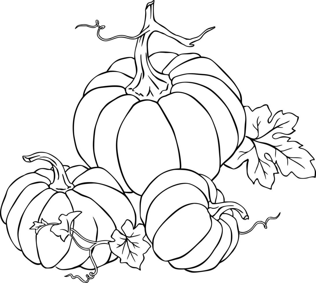 Three Pumpkins Halloween Coloring Page vector