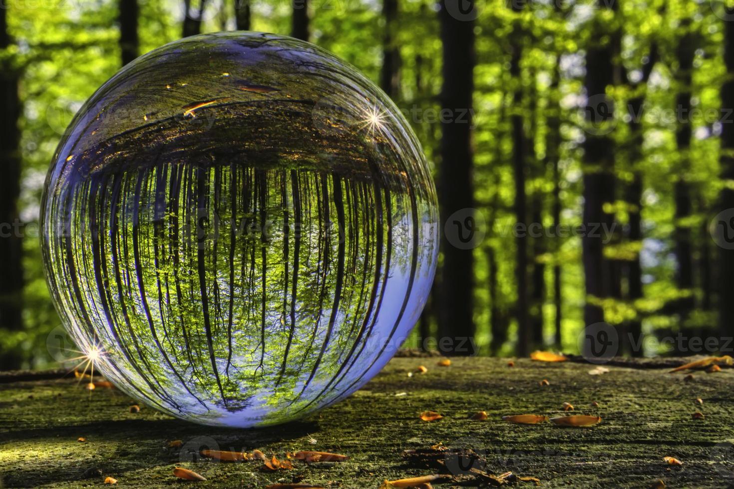 Glass ball in nature photo