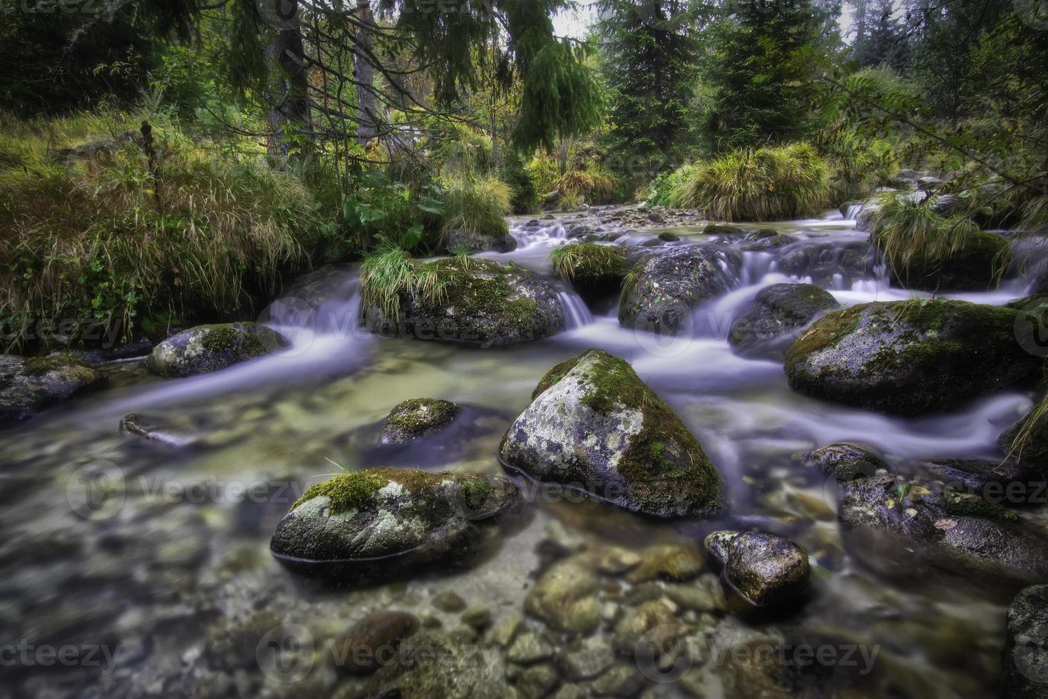 arroyo de montaña que fluye con piedras foto