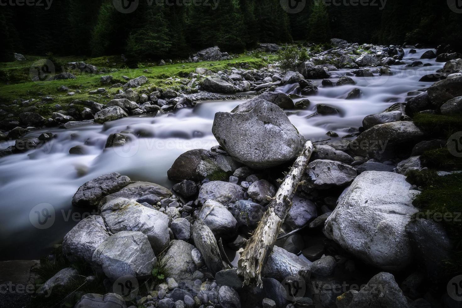 el río que fluye ruetz con piedras y árboles foto