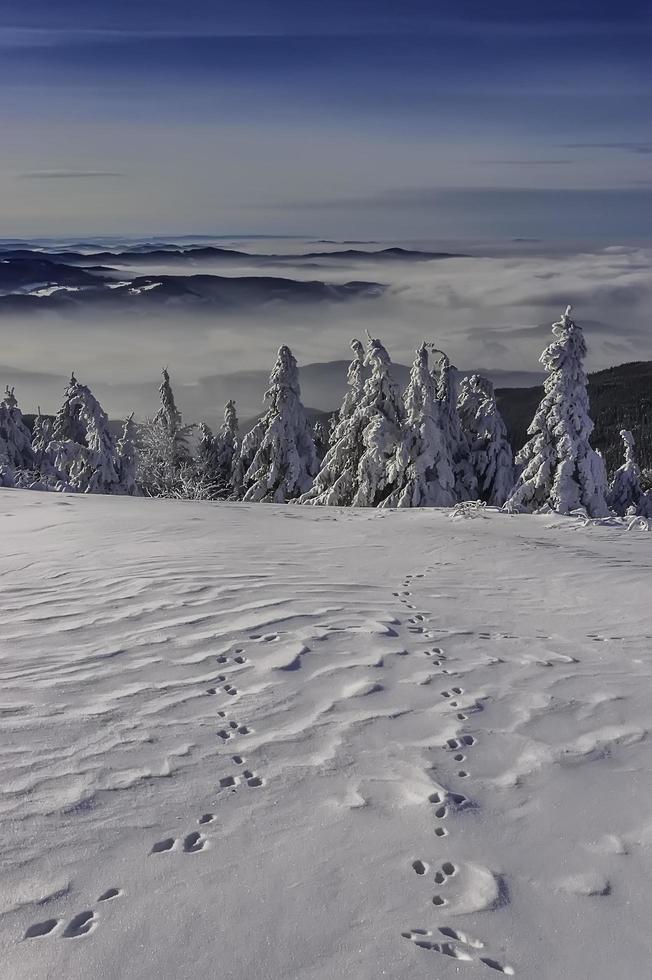 A view of a winter landscape from the top of Radhost Mountain photo