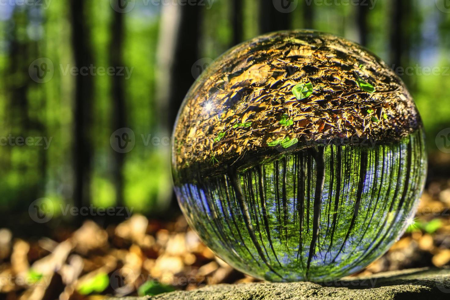 Glass ball in nature photo