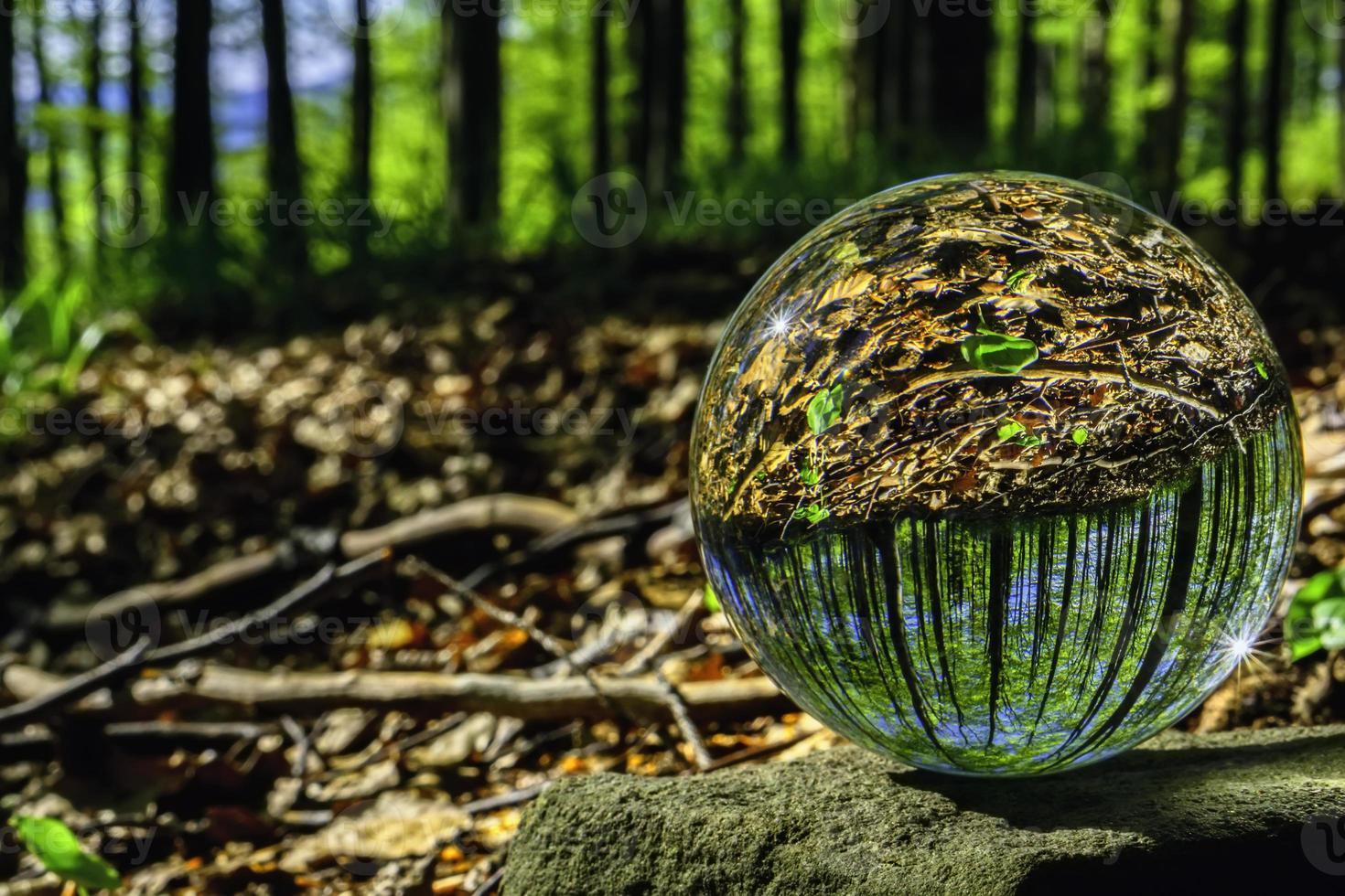 Glass ball in nature photo