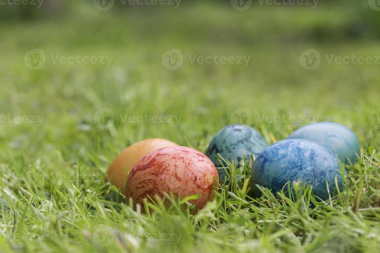 Colored eggs in the grass photo