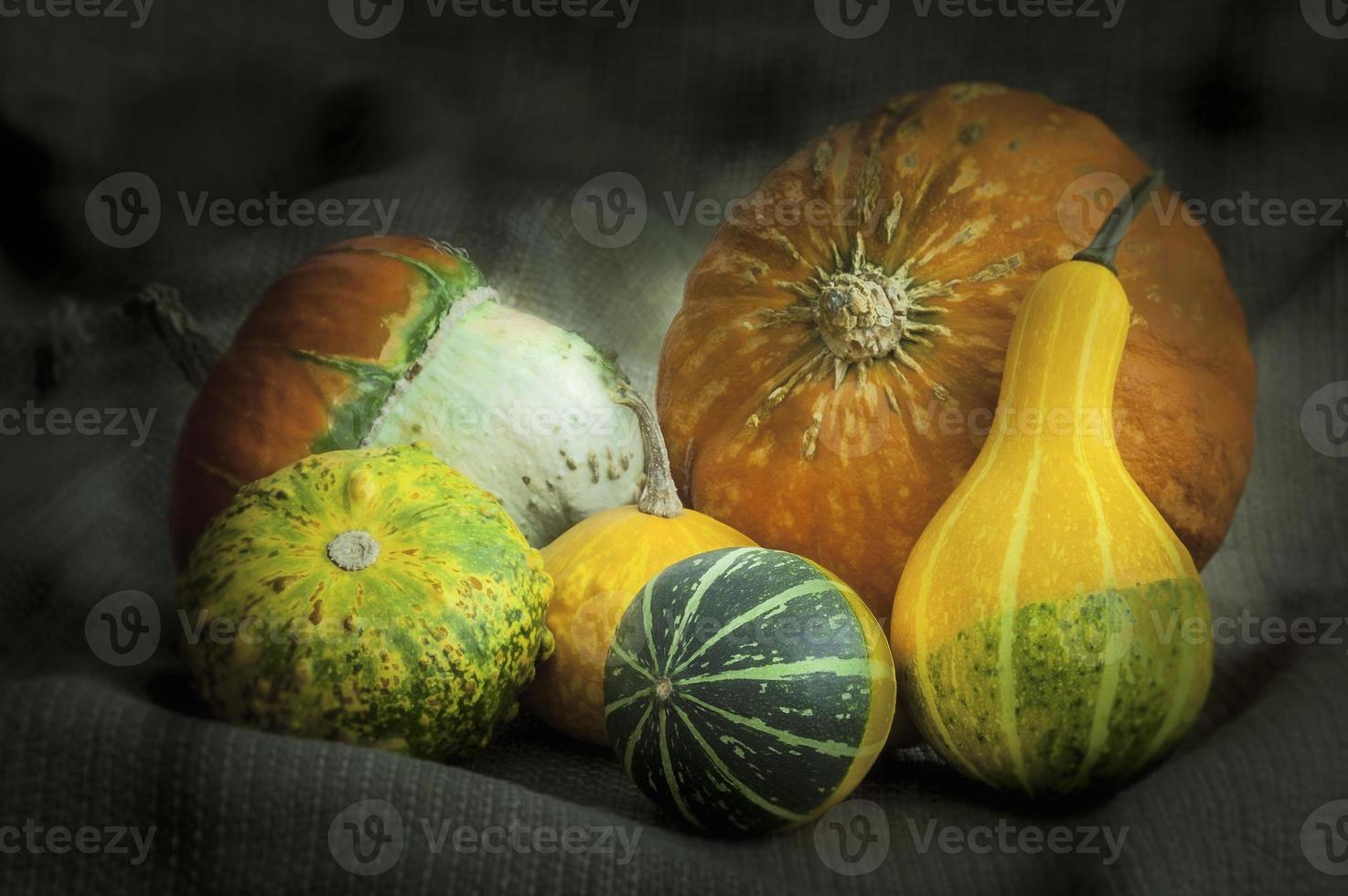 A group of different pumpkins photo