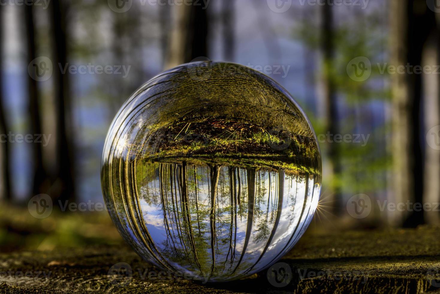 Glass ball in nature photo