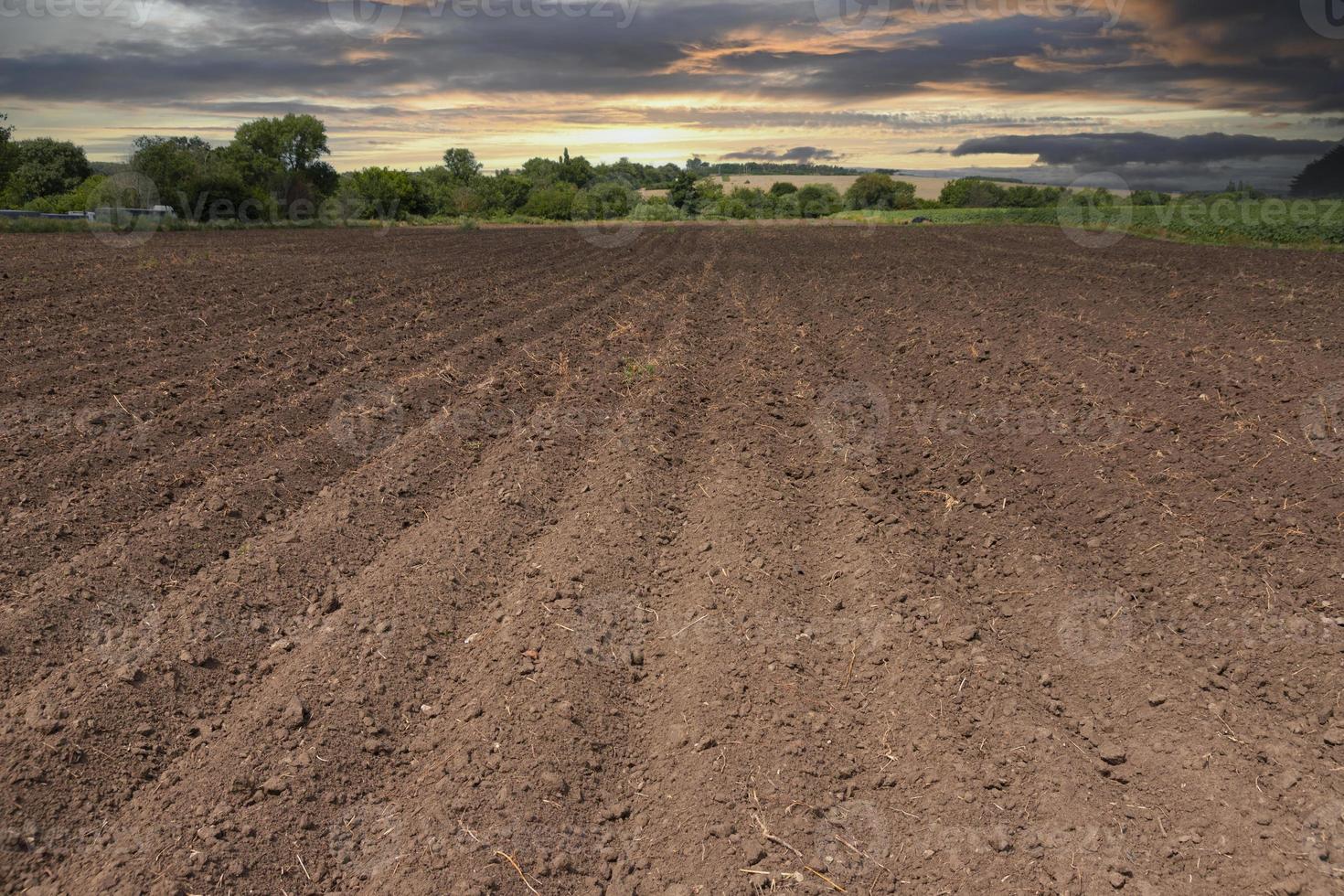 Furrows of plowed, prepared soil for sowing at sunset photo