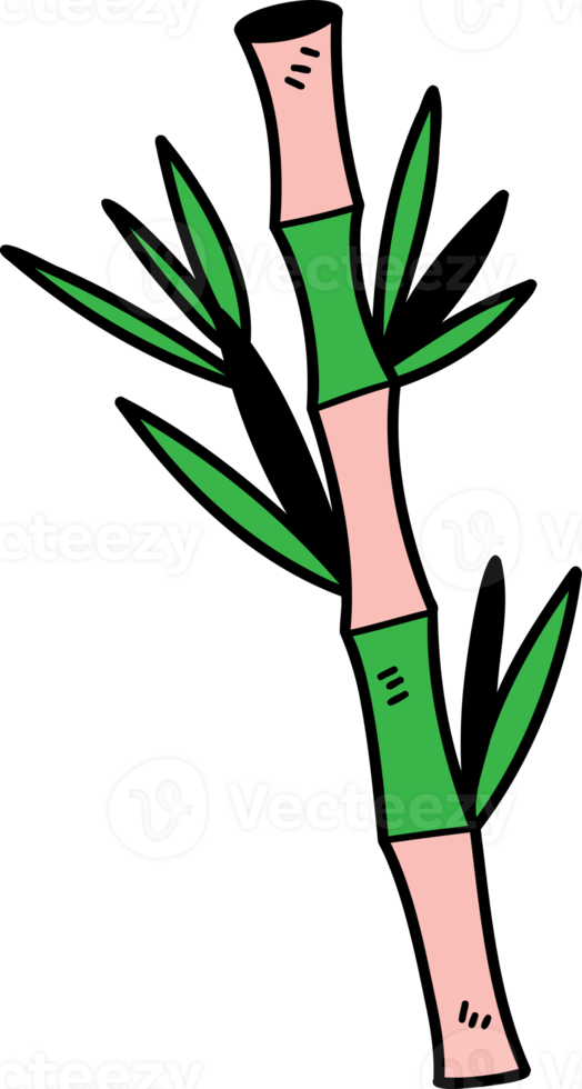 hand- getrokken Chinese bamboe illustratie Aan transparant achtergrond png