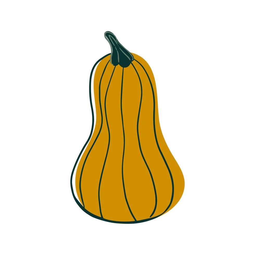 Cute yellow pumpkin. Stylish vector illustration of Autumn plant. Fall symbol. Print for banners, fabric, clothes, harvest festival invitation.