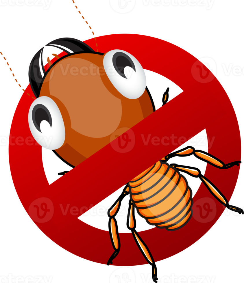 Cute cartoon termite png