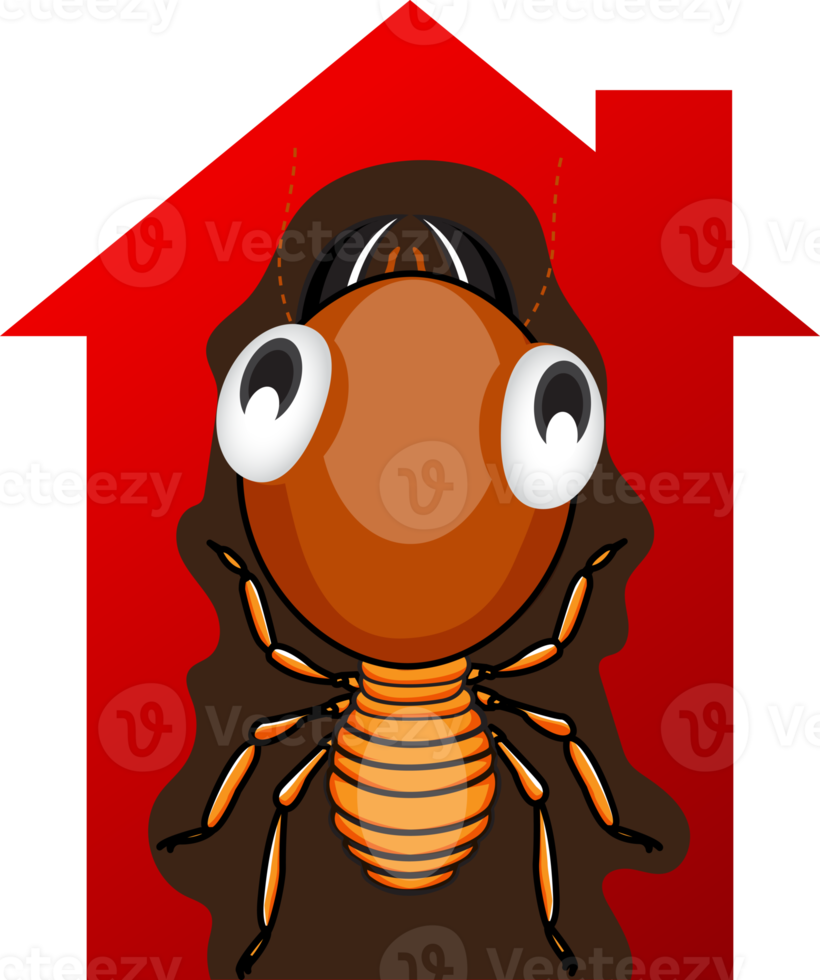 Cute cartoon termite png