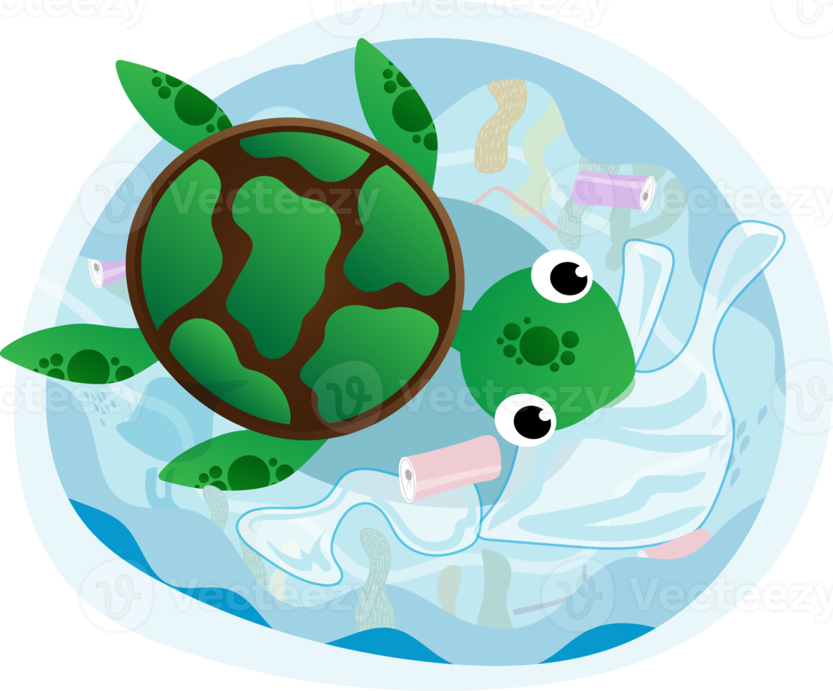 söt sköldpadda png