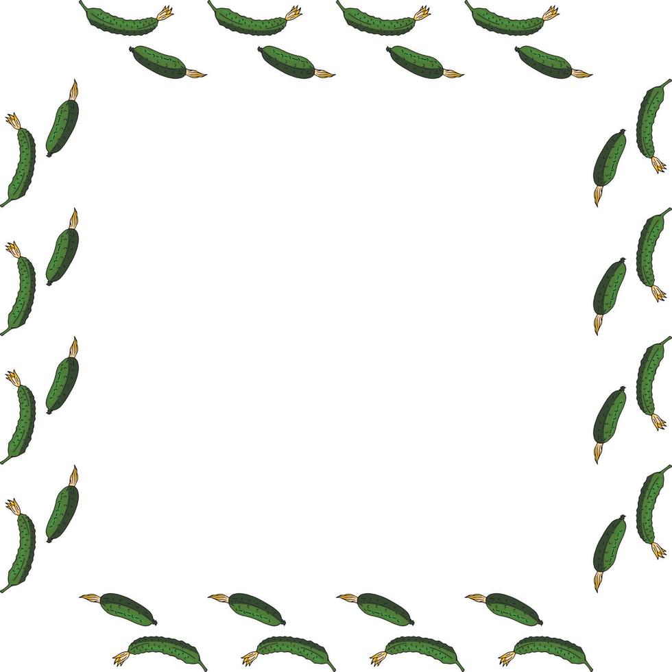Square frame with horizontal beautiful cucumber. Isolated wreath on white background for your design vector