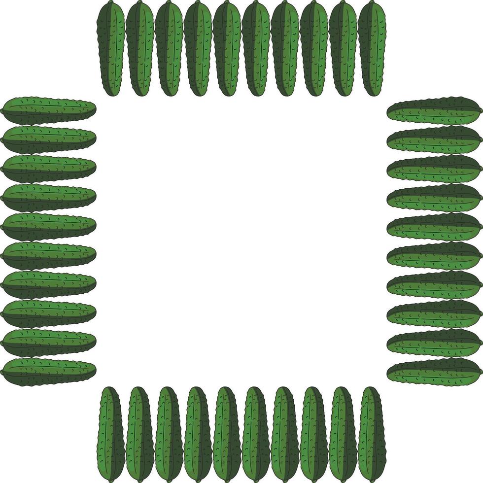 Square frame with vertical cucumber. Isolated wreath on white background for your design vector