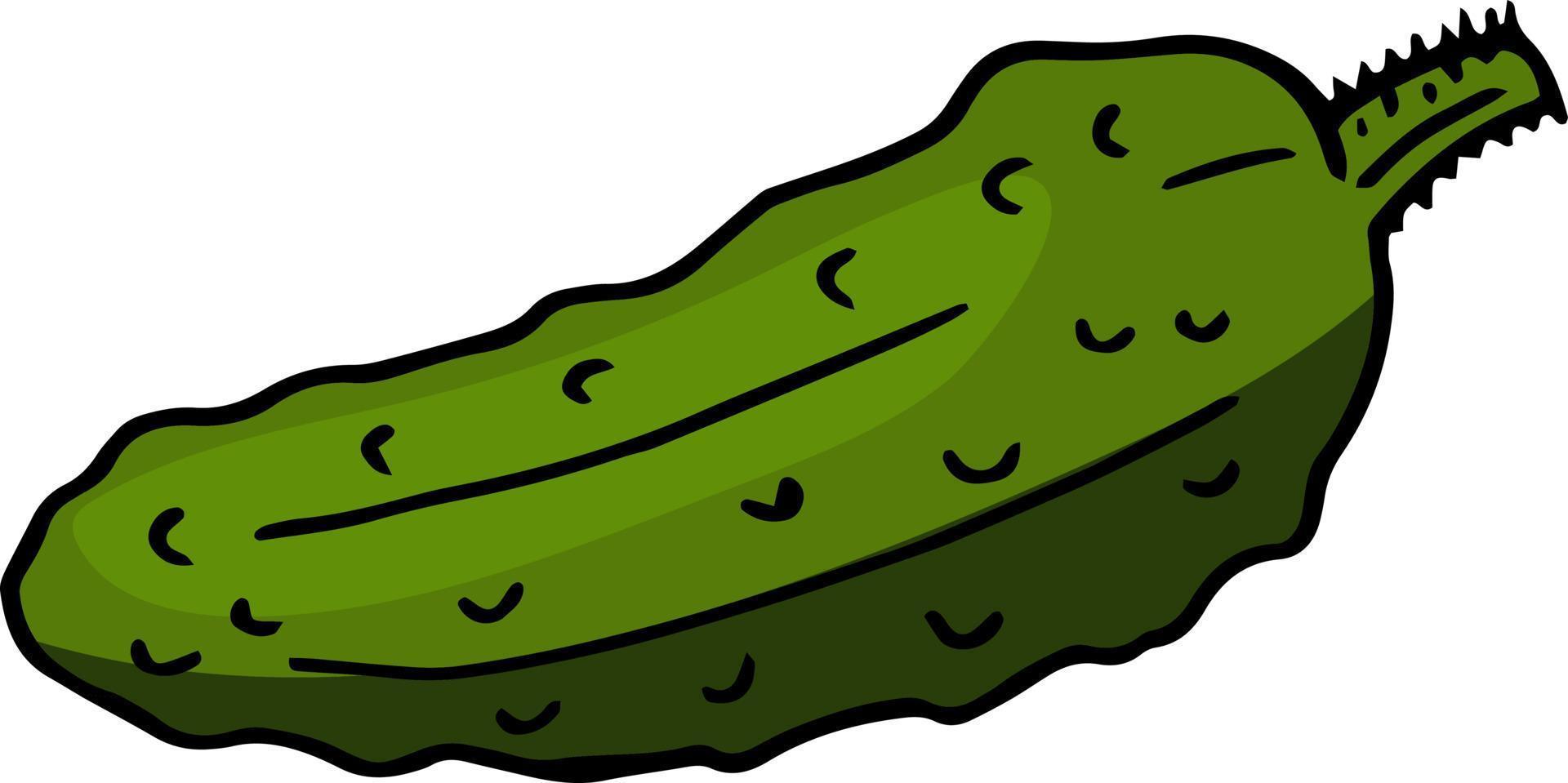 Cute cucumber on white background. Vector image.