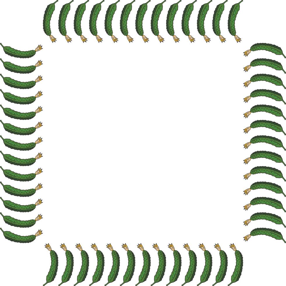 Square frame with vertical beautiful cucumber. Isolated wreath on white background for your design vector