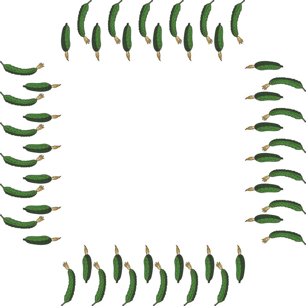 Square frame with vertical green cucumber. Isolated wreath on white background for your design vector
