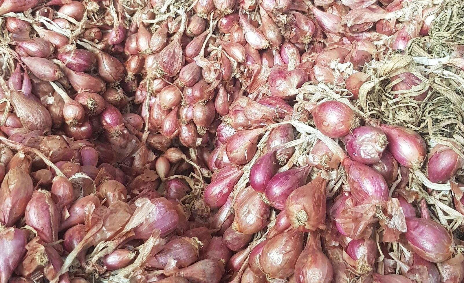 A bunch of red onions or shallots that are still fresh after being harvested. photo