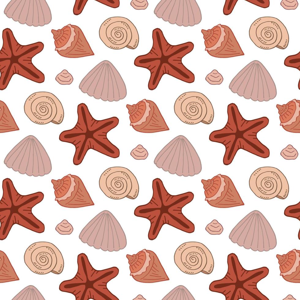 patrón impecable con hermosas conchas marinas y estrellas de mar sobre fondo blanco. imagen vectorial vector