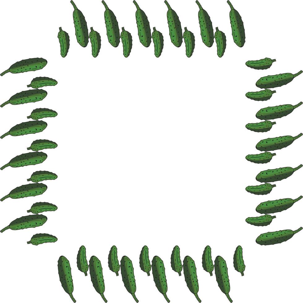 Square frame with vertical tasty cucumber. Isolated wreath on white background for your design vector