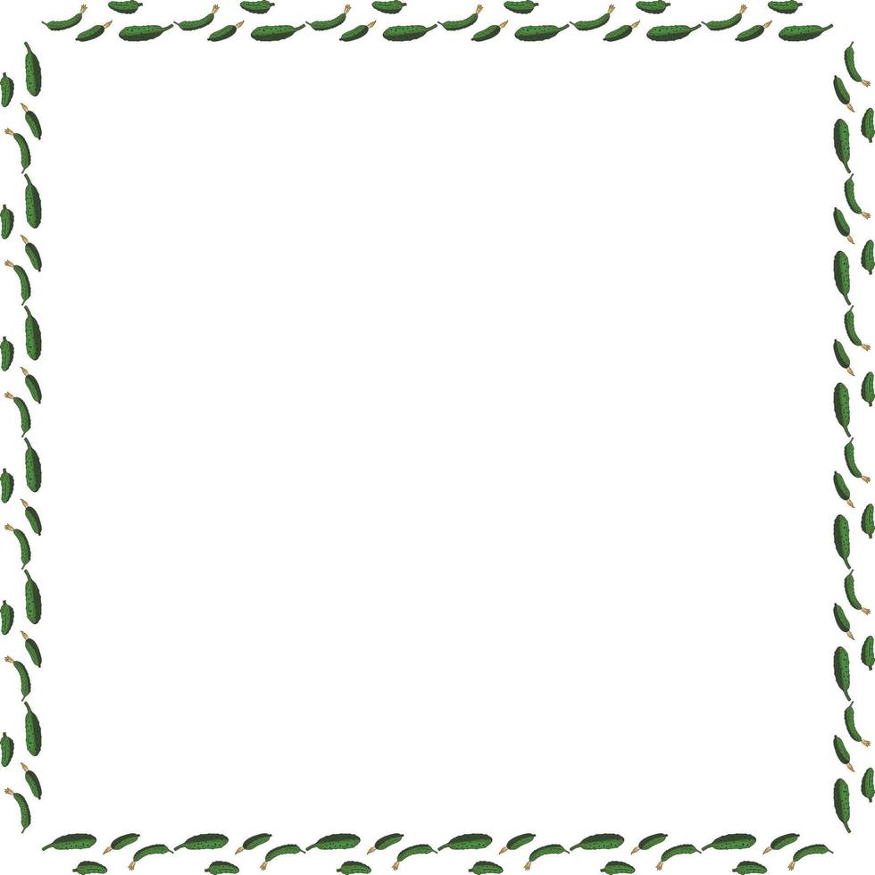 Square frame with horizontal tasty cucumber. Isolated wreath on white background for your design vector