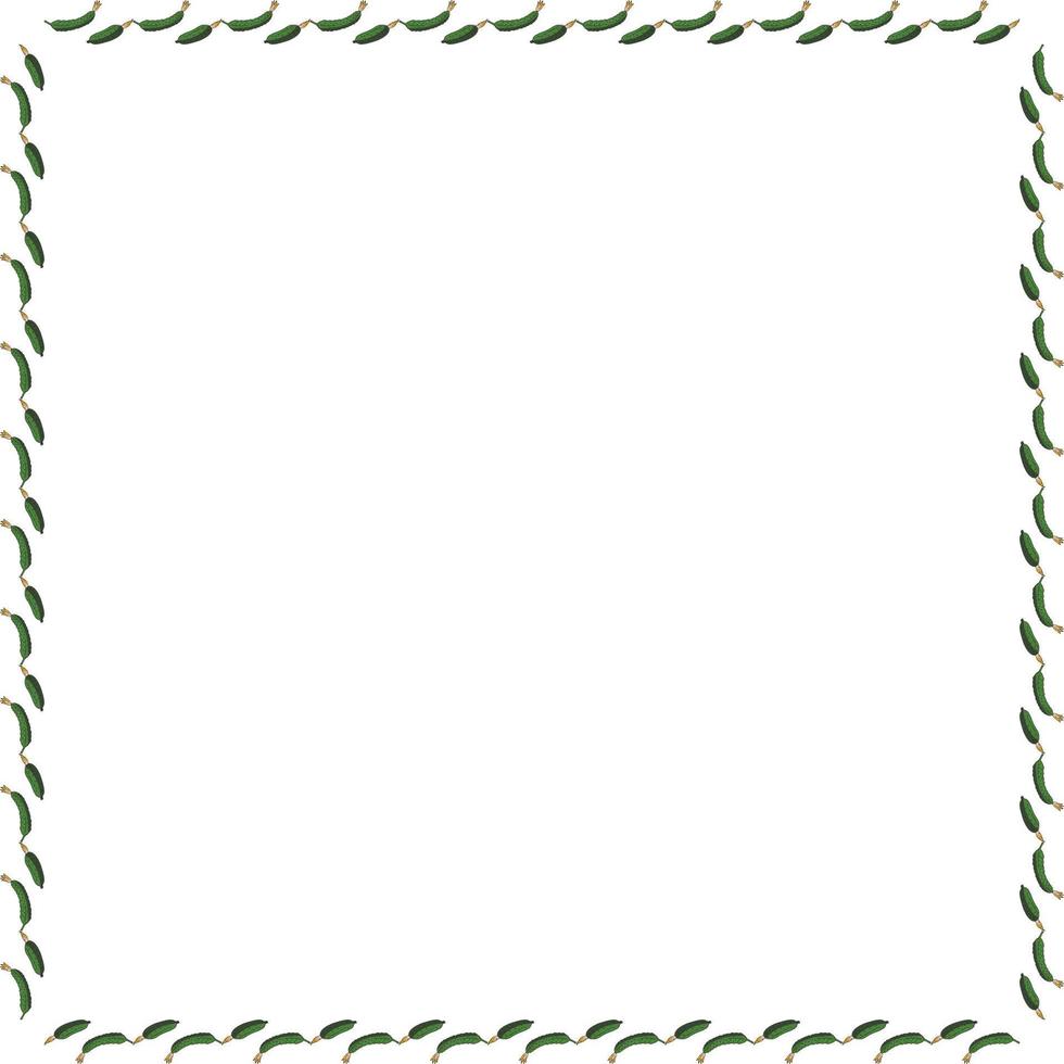 Square frame with horizontal fresh cucumber. Isolated wreath on white background for your design vector