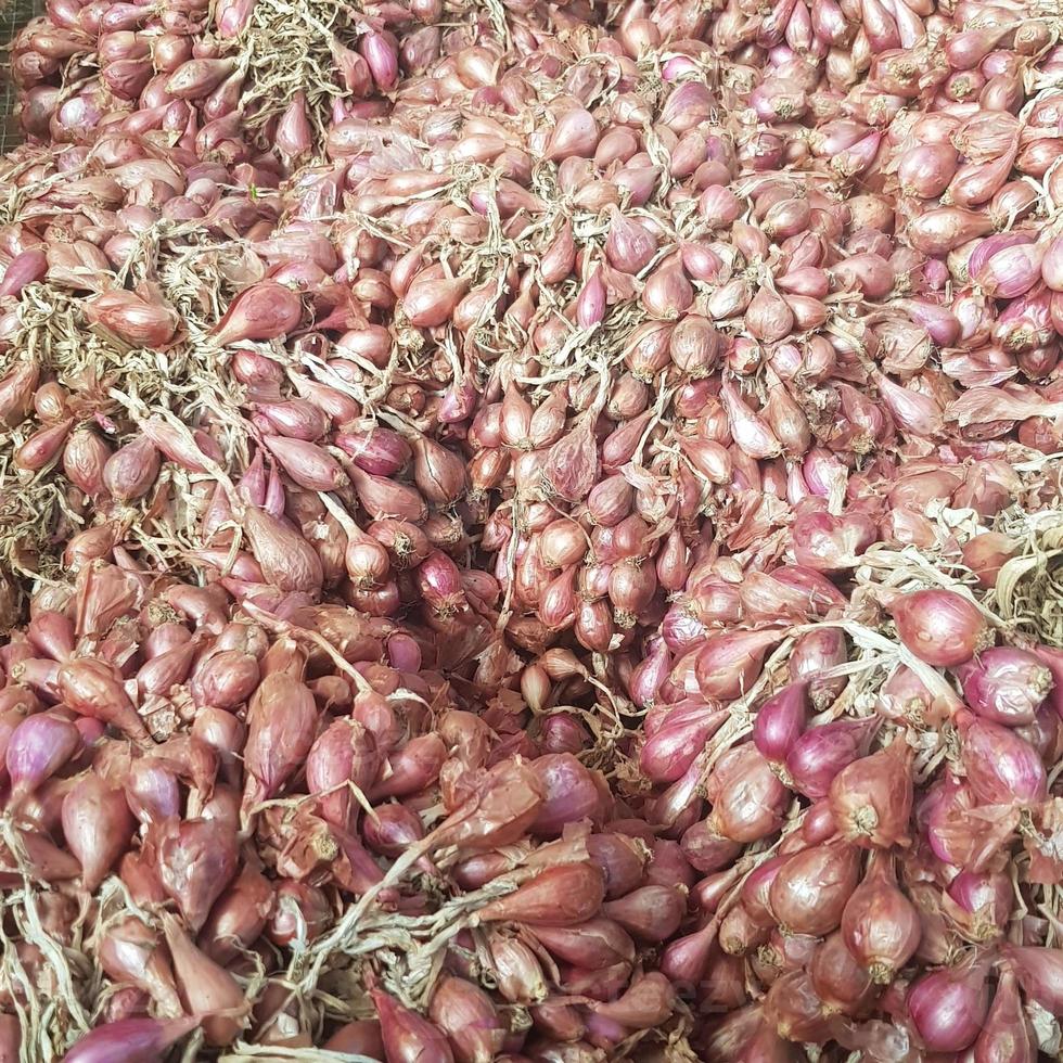 A bunch of red onions or shallots that are still fresh after being harvested. photo