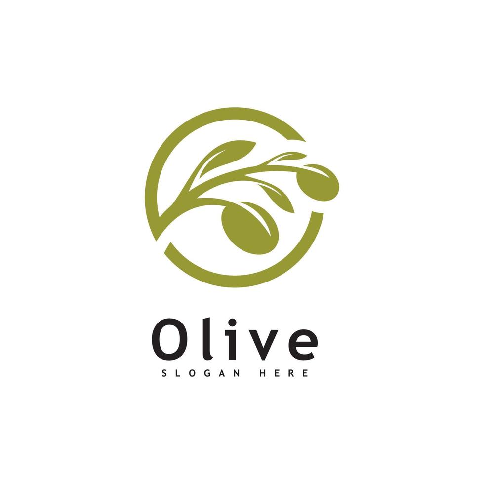 plantilla de vector de diseño de logotipo de aceite de oliva