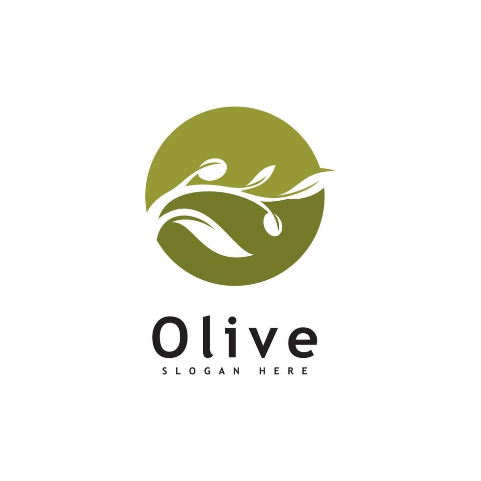 plantilla de vector de diseño de logotipo de aceite de oliva