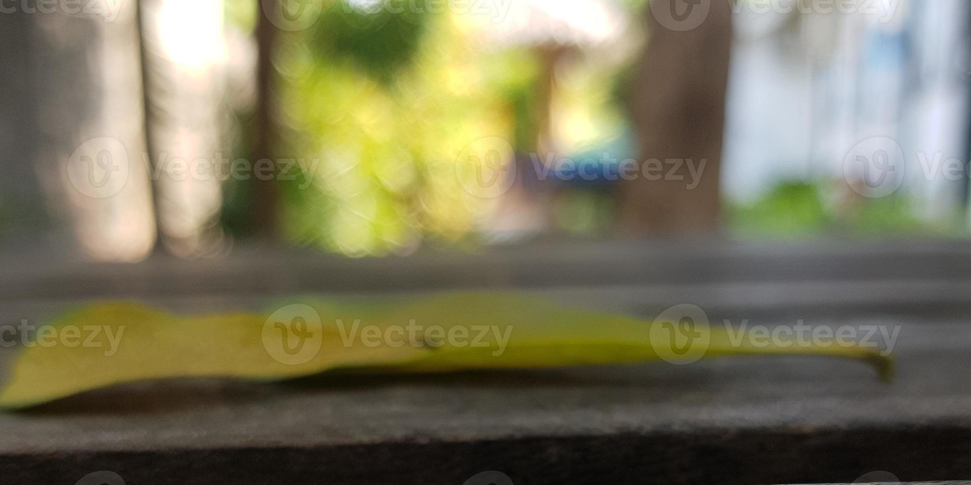 Close up shot of a fallen leaf on a wooden table. photo