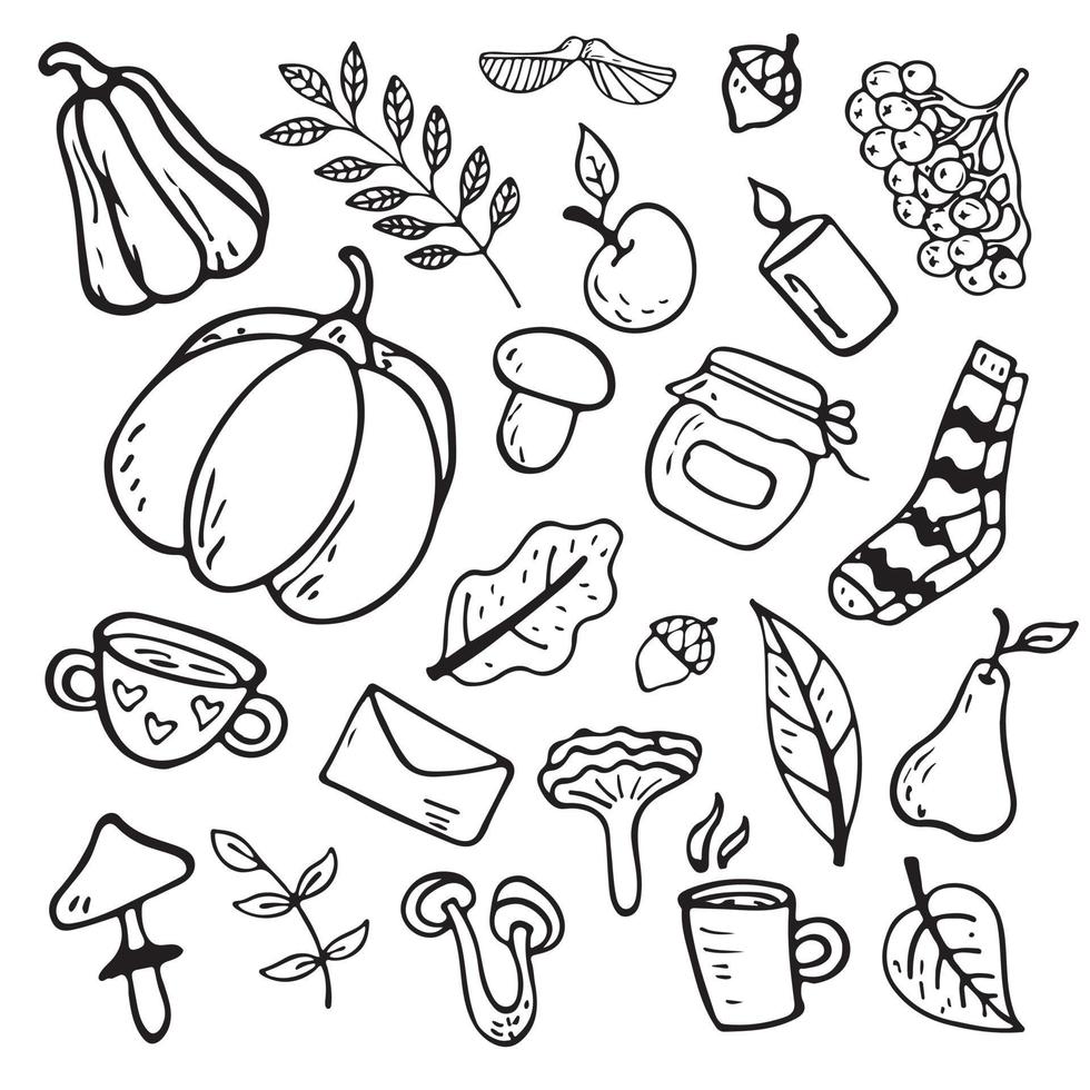 Vector flat illustration on an autumn theme mushrooms, vegetables, leaves, cute attributes. Doodle objects are cut out.