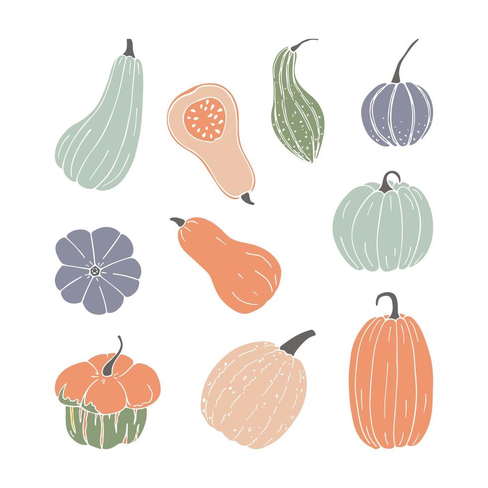 conjunto dibujado a mano de otoño de calabaza. elementos de acción de gracias y halloween vector