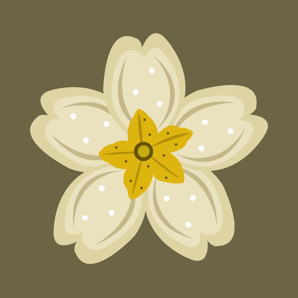 English primrose flower vector illustration for graphic design and decorative element