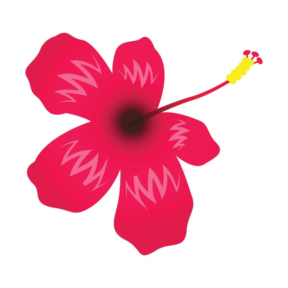 cute of hibiscus flower on cartoon version vector