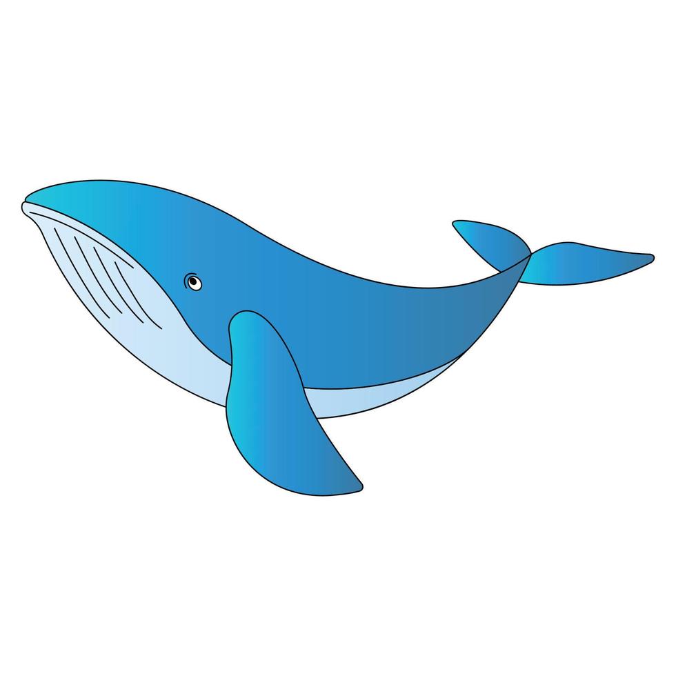 cute of whale on cartoon version, vector