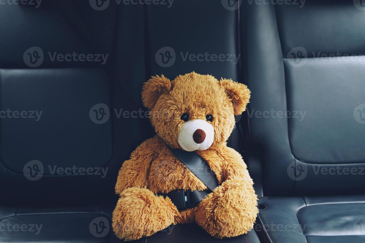 Brown teddy bear wearing car seat belt photo