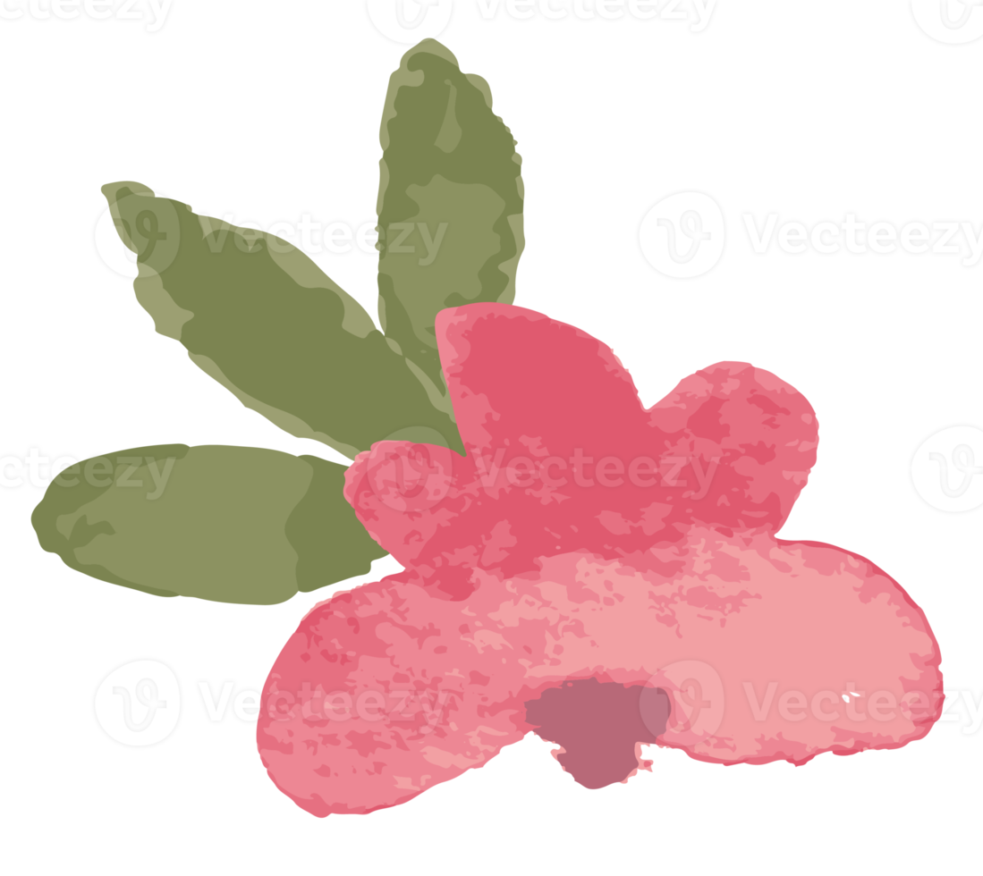 rood mooi waterverf botanisch wild bloemen.bloemen illustratie. png