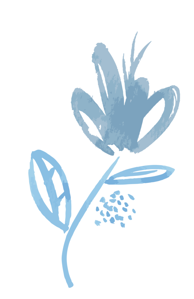 Botanical wild flowers. Hand-drawn doodler Floral illustration. png