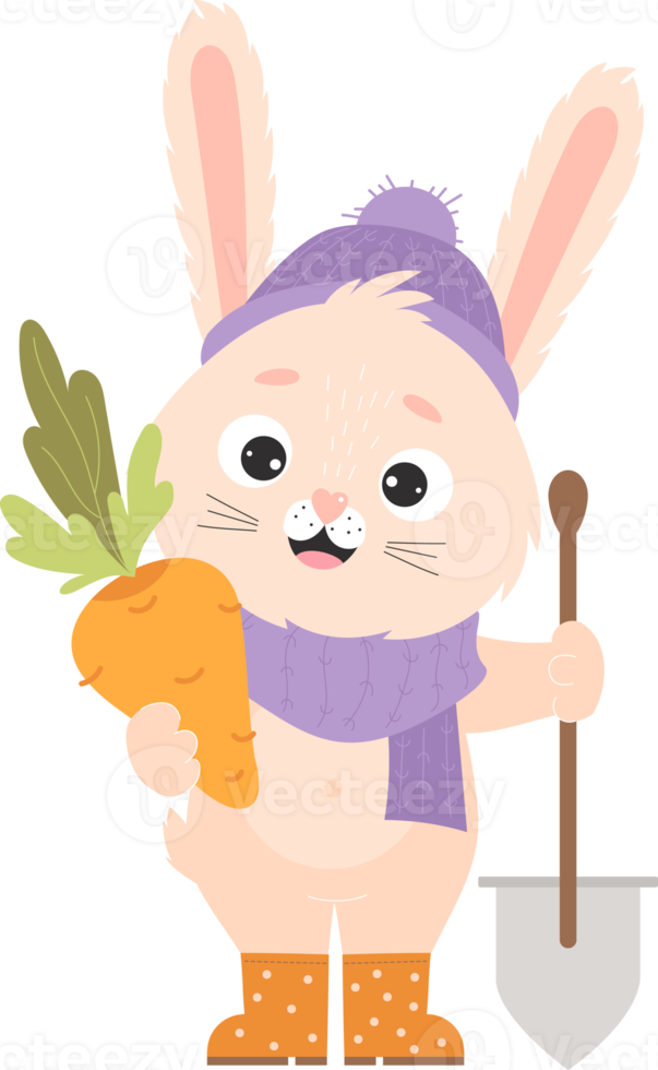 Rabbit character is  farmer with carrot harvest and shovel png