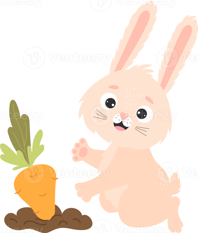 Farmer bunny character is  farmer and carrots in garden png