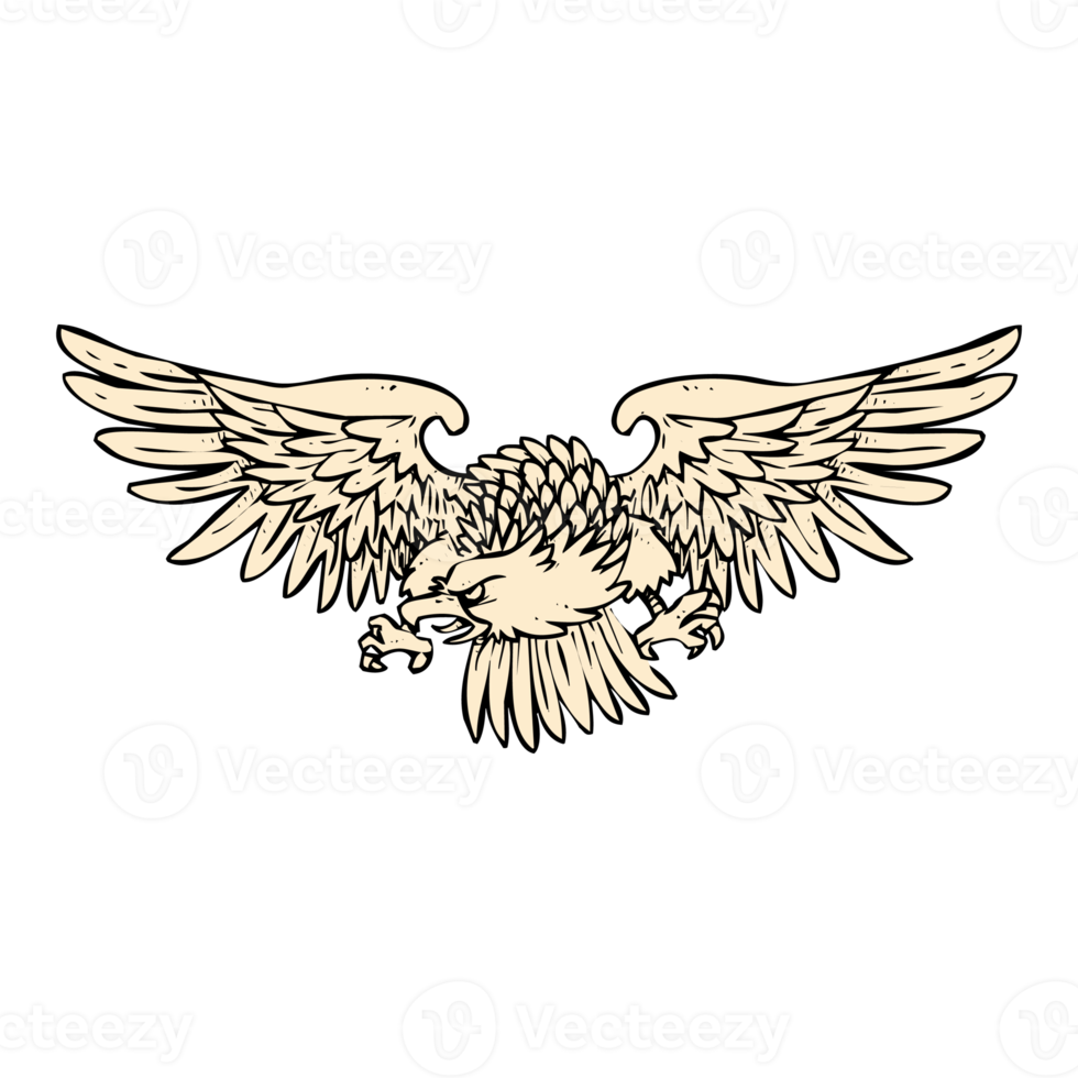 eagle illustration design png